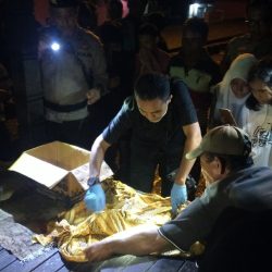 d805d9c3-8053-42d4-9bf9-6880954d3a79