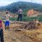 Polsek Tayan Hilir Tanam Jagung Hibrida Dukung Swasembada Pangan Screenshot_20250305_085308_WhatsApp