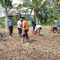 Polsek Noyan Tanam Bibit Jagung di Lahan Demplot, Wujudkan Komitmen Dukung Ketahanan Pangan Screenshot_20250629_200344_WhatsApp