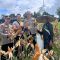 IMG-20251015-WA0001