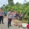 IMG-20251017-WA0005