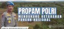 Bidpropam Polda Kalbar bersama Polres Bengkayang Panen Raya Jagung, Polri dan Masyarakat Perkuat Swasembada Pangan Nasional