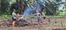 *Progres Pembukaan Lahan Jagung TMMD Ke-128 Kodim 1204/Sanggau Capai 70 Persen*