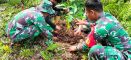 Upaya Pembinaan Lingkungan Hidup, Bati Tuud Koramil 03/Tebas Bersama Pemdes Serindang Gelar Penanaman Pohon Keras