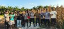 *Panen Jagung Hibrida 1 Hektare, Polsek Matan Hilir Utara Dukung Program Ketahanan Pangan Nasional*