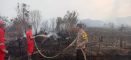 Lahan Perkebunan Seluas Tiga Hektare di Sungai Tebelian Terbakar, Polisi Bersama Tim Gabungan Lakukan Pemadaman