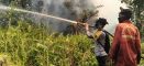 Polres Ketapang Bersama Jajaran dan Tim Gabungan Patroli Padamkan Karhutla di MHU