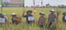 Panen Raya Ngunggahan, Ketua Komisi B DPRD Tulungagung Siap Kawal Aspirasi Petani demi Perkuat Swasembada Pangan