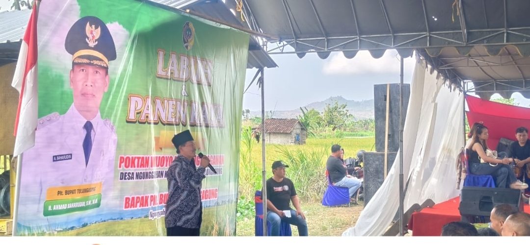 Panen Raya Ngunggahan, Ketua Poktan dan Kades Sampaikan Aspirasi Petani, Minta Perbaikan Irigasi dan Jalan Usaha Tani