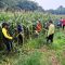 Dukung Ketahanan Pangan Nasional, Perawatan Tanaman Jagung Terus Dioptimalkan